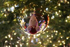 ノッポン！　2009/11