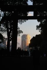 明治神宮散歩4　2009/1