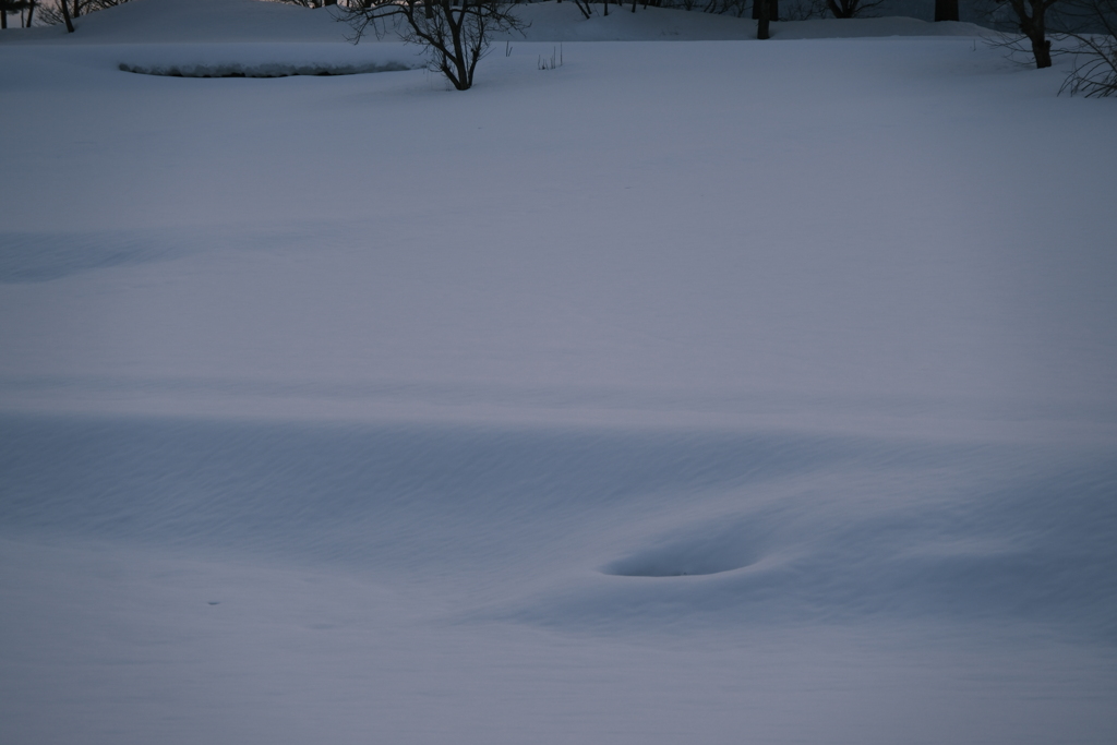 雪原