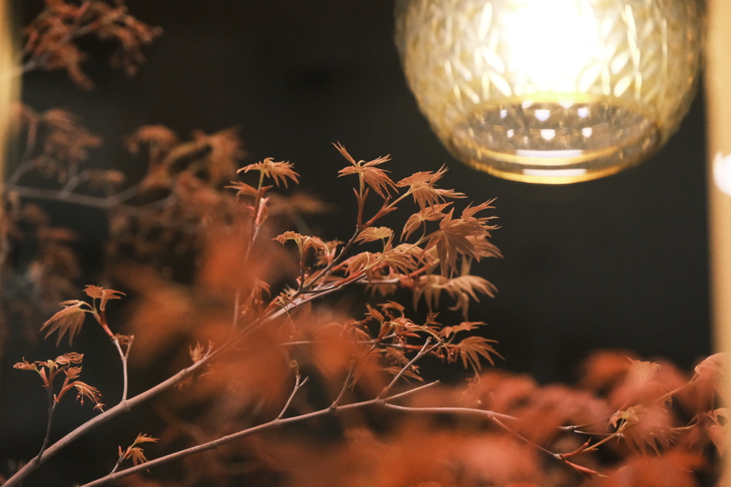 コメダ珈琲の店内窓から