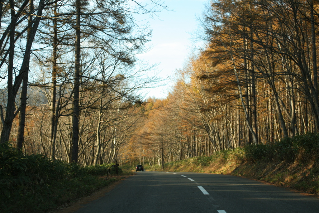 飯綱と戸隠の間の道路で紅葉　2006/10