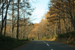 飯綱と戸隠の間の道路で紅葉　2006/10