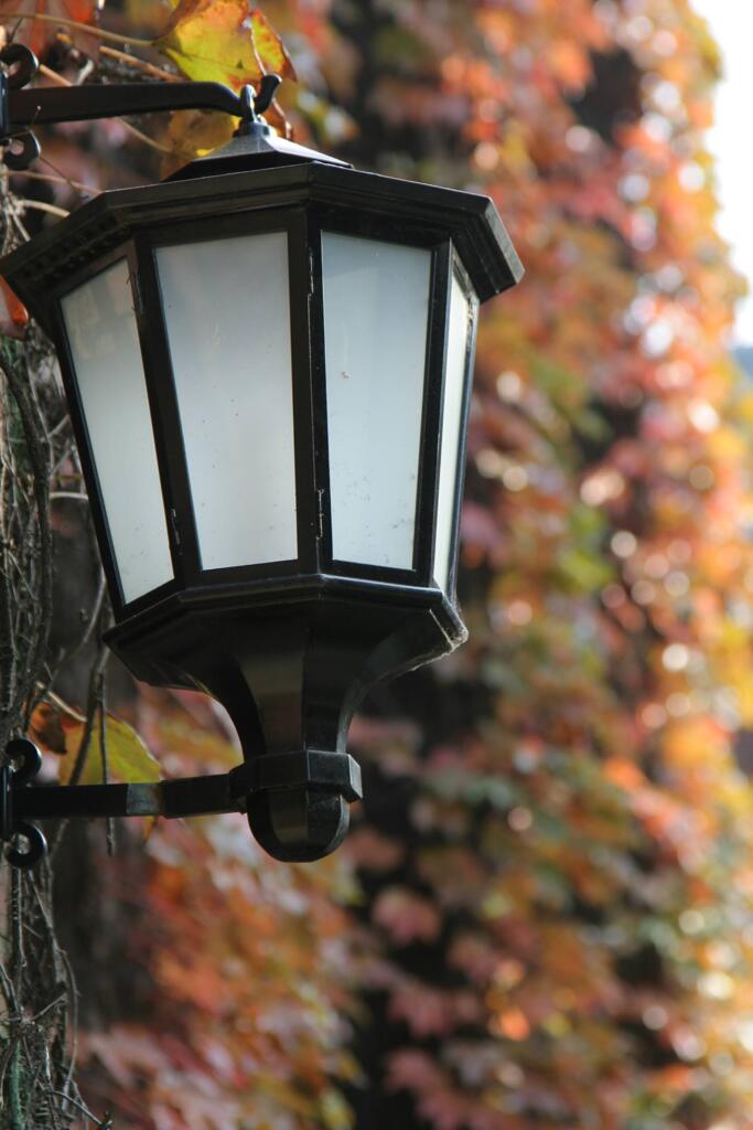 立教大学　2009/11