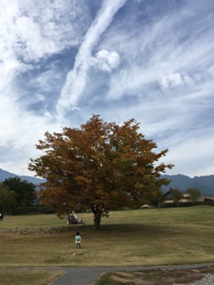 安曇野ちひろ美術館のお庭　2016/10