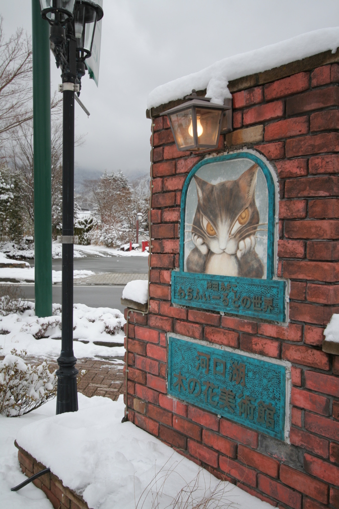 街なかの猫ダヤンのお店？今もあるのかなぁ？　2011/2
