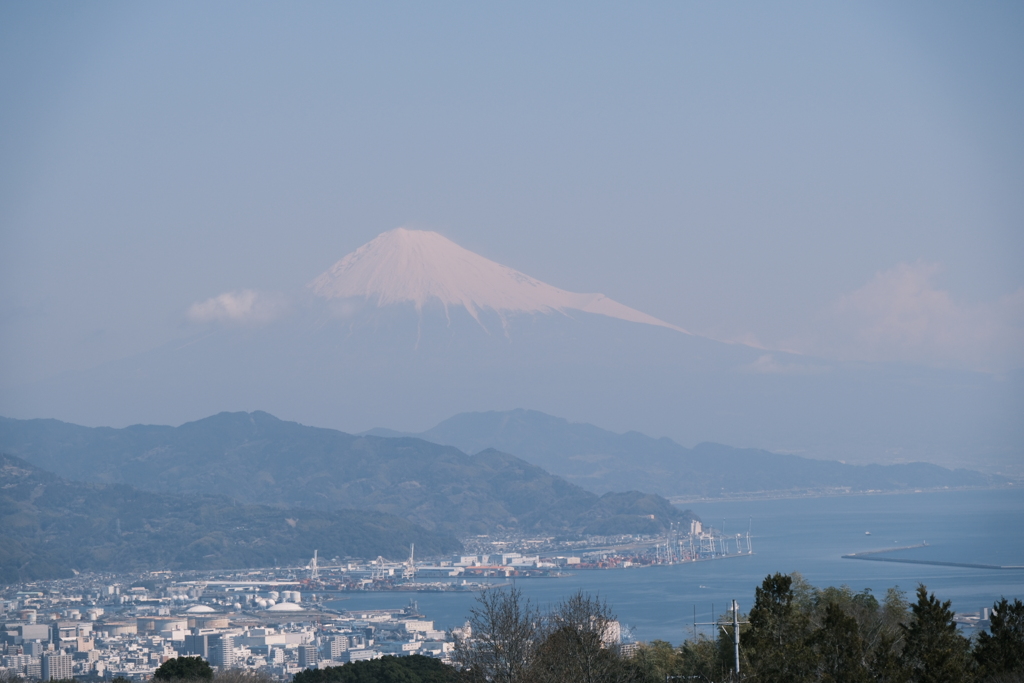 日本平から富士山