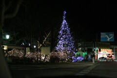 軽井沢クリスマスツリー　2006/12