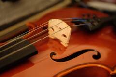 バイオリン　2024/11