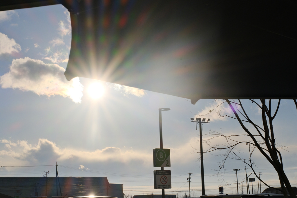 お昼すぎまで小雨降る天気でしたが、やっと日がさしてきました。