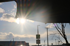 お昼すぎまで小雨降る天気でしたが、やっと日がさしてきました。