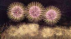 昨年のえびす講花火大会　2024/11