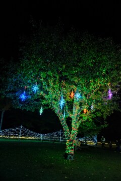 あずみの公園のイルミネーション3