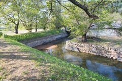 現存2箇所の五稜郭の1つ龍岡城跡中にあった田口小学校