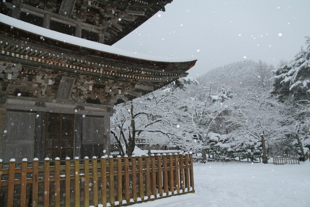 雪舞う前山寺　2008年