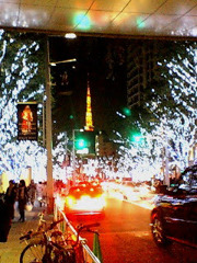 けやき坂のイルミネーション　2007/11