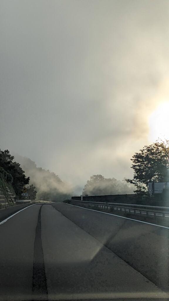朝霧