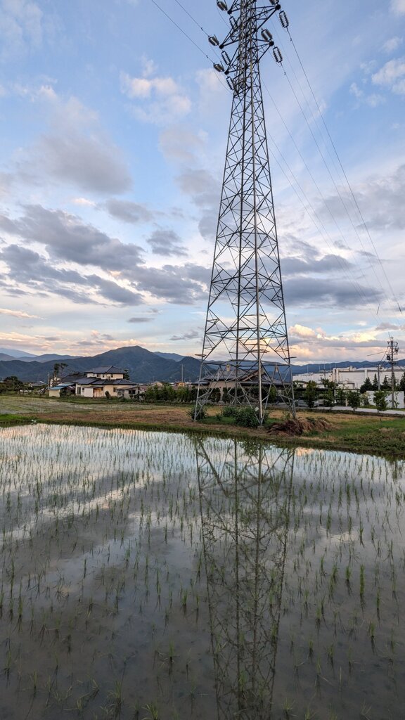 散歩がてらのスナップ　梅雨明けましたね。