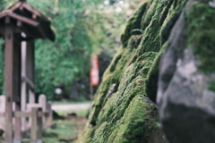 懐古園　苔むす石垣