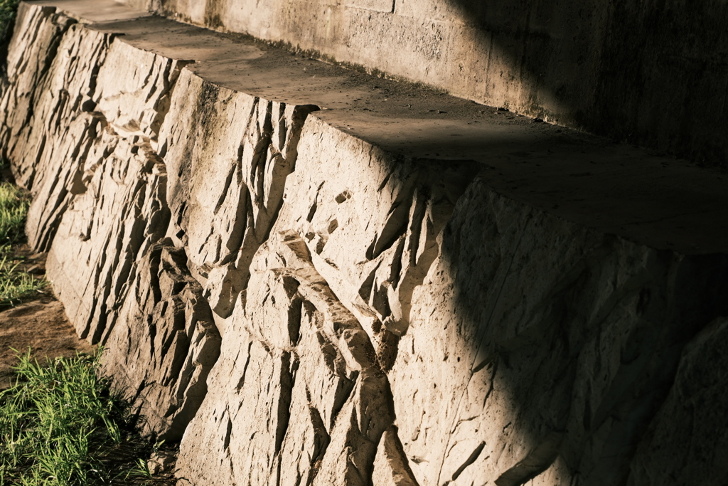 女鳥羽川沿いの影