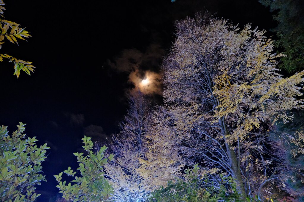 安曇野紅葉と月