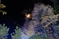 安曇野紅葉と月