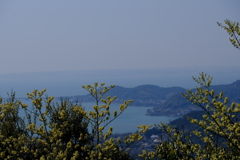浜名湖と海のはず
