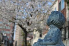 桜の頃 2010年。