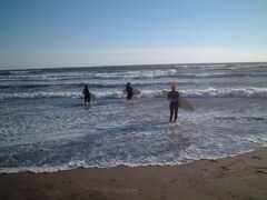 海でサーフィン。海無し県民から見るとすごい都会感　2002/11