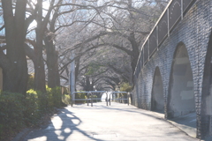冬場に目黒川横の遊歩道