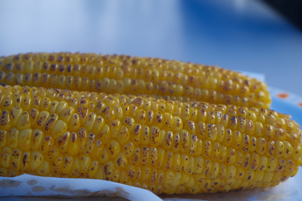 焼きもろこし　今年もなんとかありつけた。