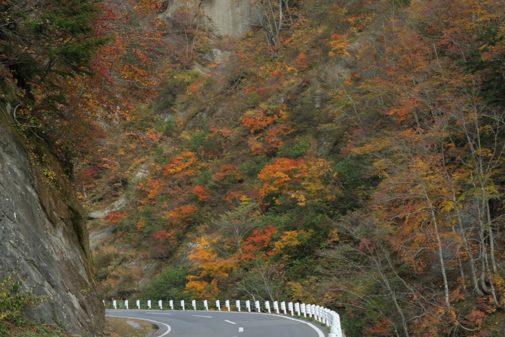 奥裾花渓谷道すがら　2006/11