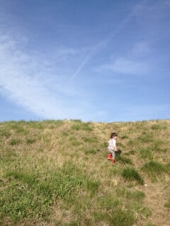 春先の土手と青空　2016年