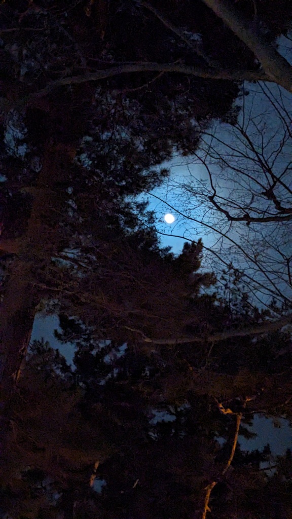 古戦場公園から見た月