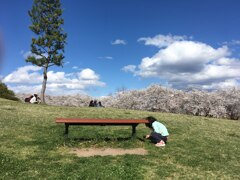 川中島古戦場公園　2018年