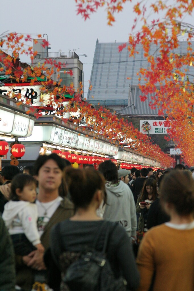 浅草寺参道　2009/11