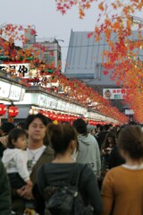浅草寺参道　2009/11