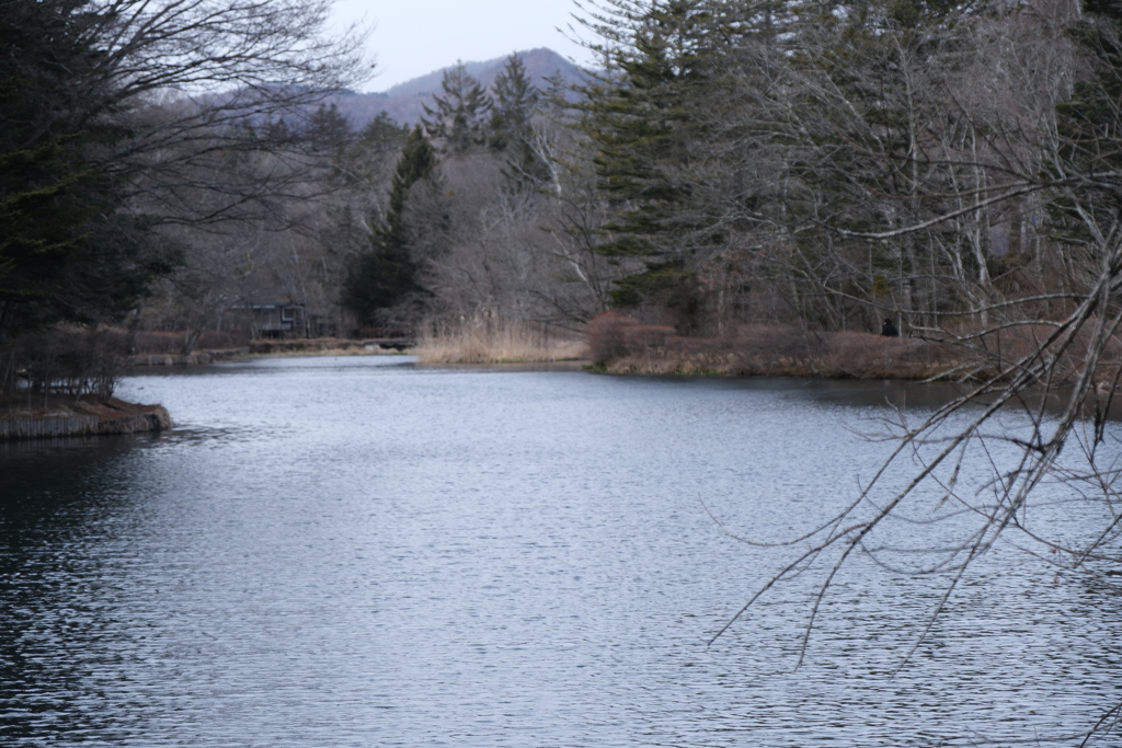 軽井沢雲場池