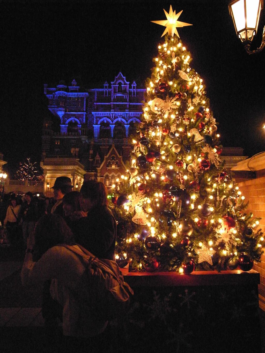 東京ディズニーシーのクリスマスツリー　2008/11