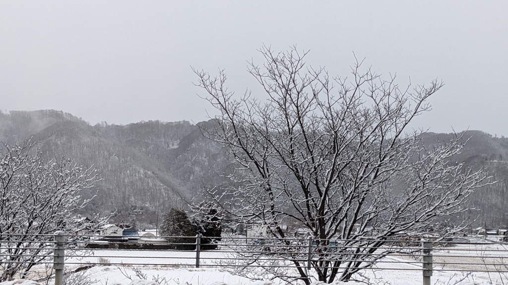 年明け雪化粧　白黒の世界はそれはそれで好きですが、帰省と被ると渋滞など…