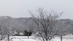 年明け雪化粧　白黒の世界はそれはそれで好きですが、帰省と被ると渋滞など…