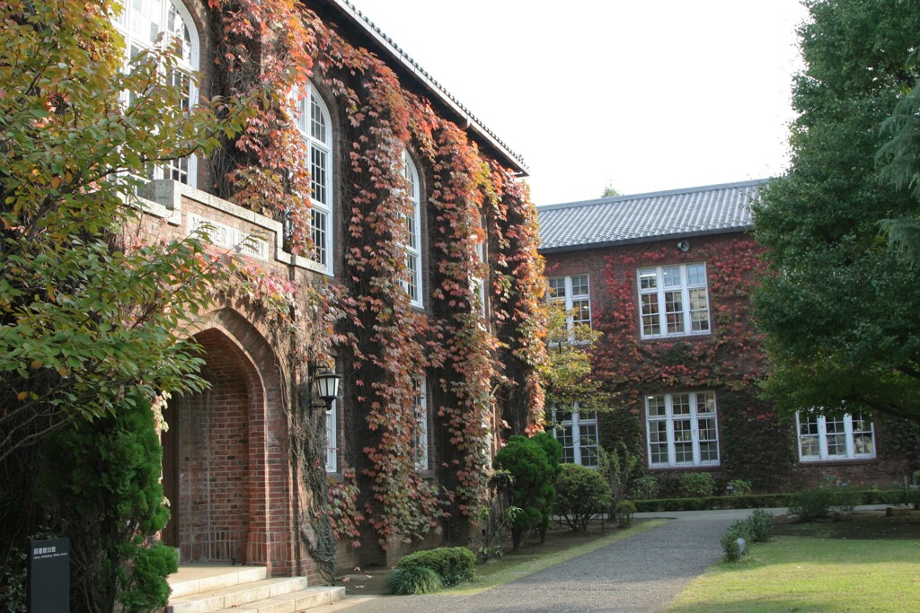 立教大学2 2009/11
