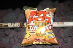 富士山頂上ちょっと手前で確認。自由研究？！　2007/8