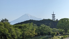 岩本山公園からの富士