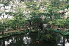 懐古園の鯉がいる池