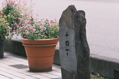 善光寺までの距離を表す看板的な石碑