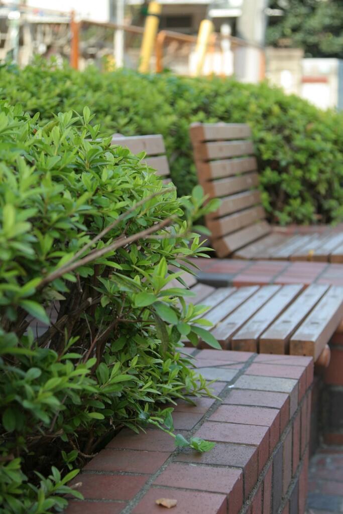 西池袋散歩2 2009/11