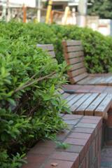 西池袋散歩2 2009/11