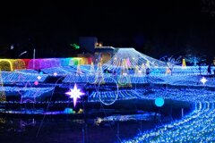 あずみの公園のイルミネーション2