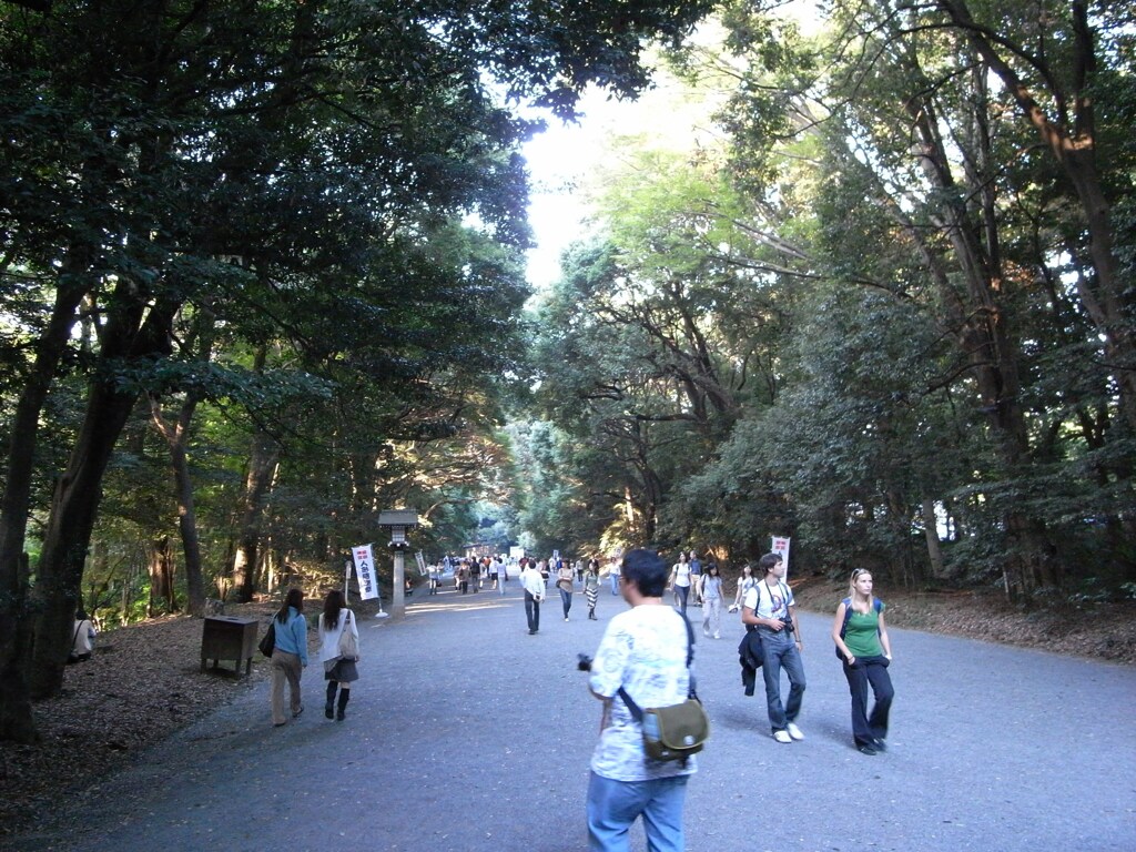 明治神宮　2008/10