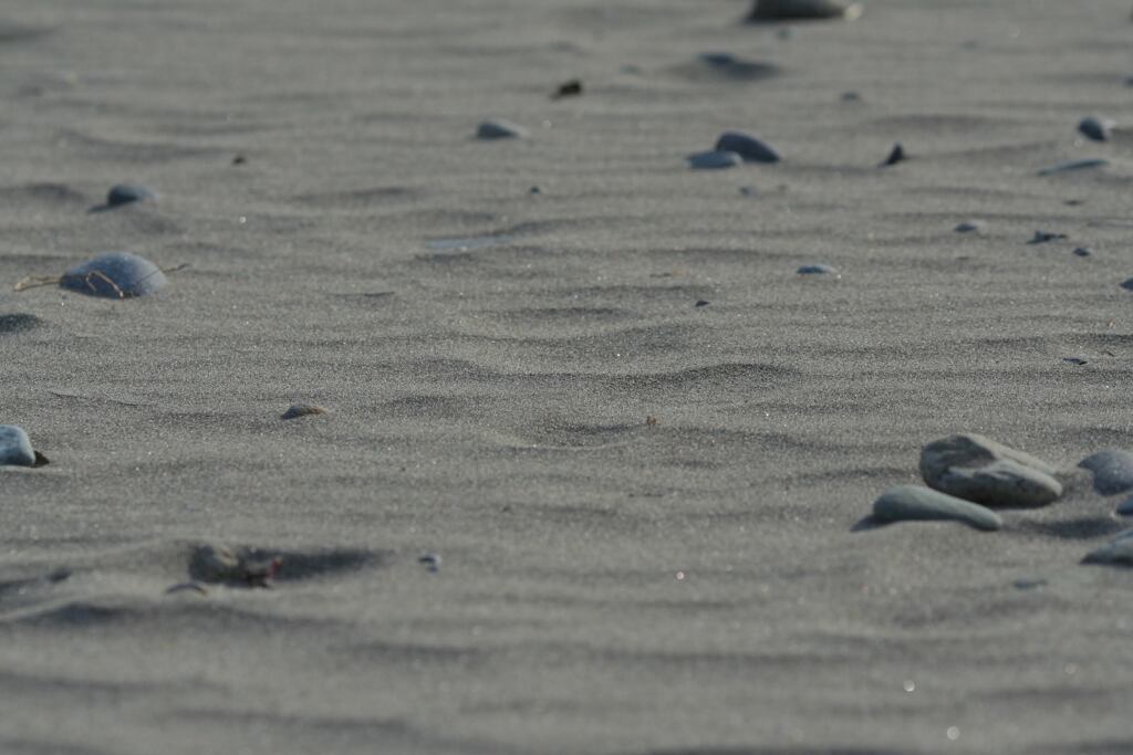 砂…浜…　2011年